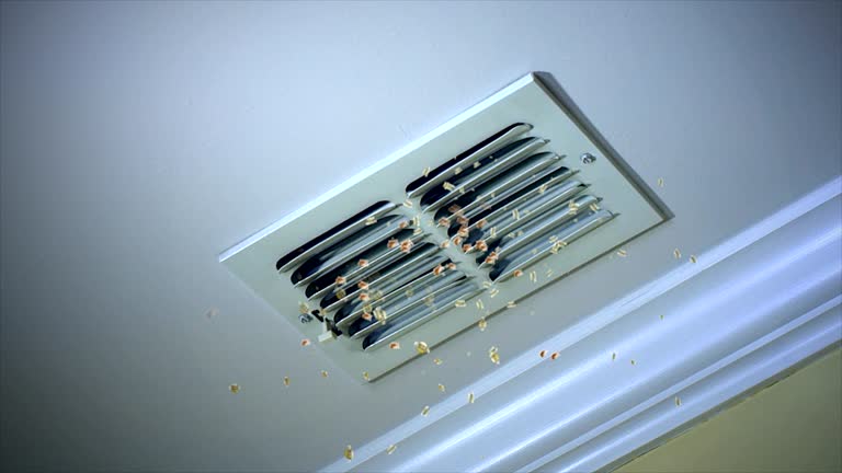 Best Air Duct Cleaning Near Me  in Maysville, MO